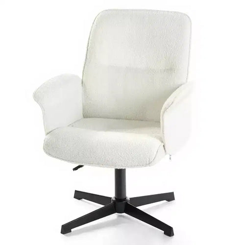 Homy Casa Adjustable Swivel Task Chair with Padded Arms for Small Home Office & Vanity